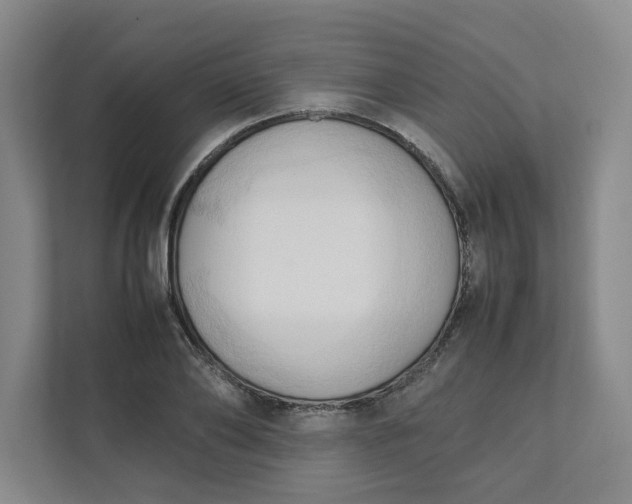 X0000111950886200908101220