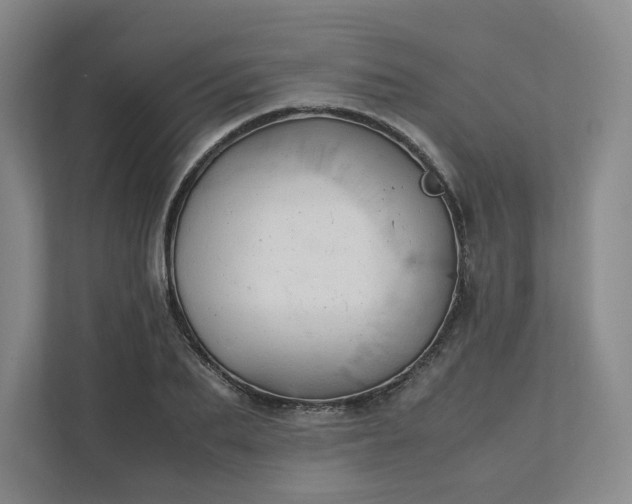 X0000111950887200908101220