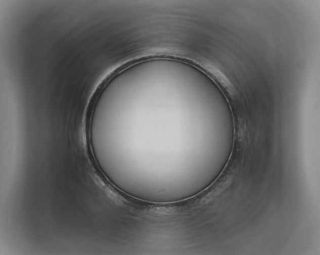 X0000111950888200908101220