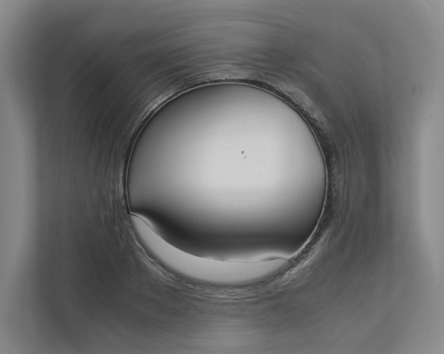 X0000111950889200908101220
