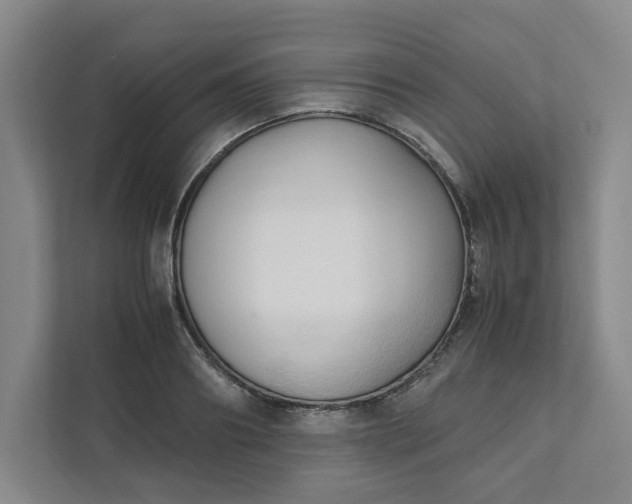 X0000111950890200908101220