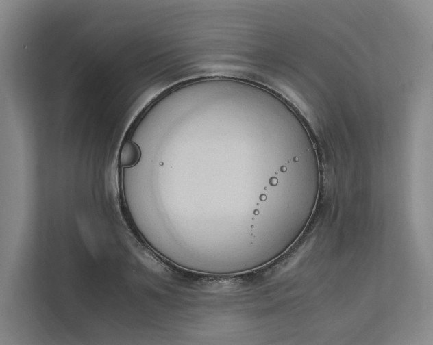 X0000111950891200908101220