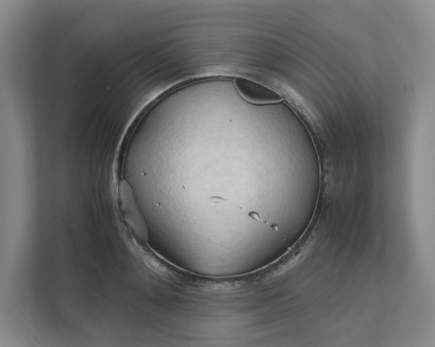 X0000111950892200908101220