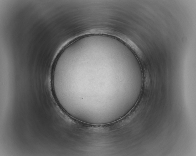 X0000111950896200908101220