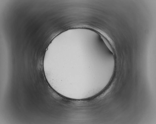 X0000111950897200908101220