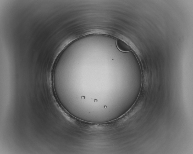 X0000111950898200908101220