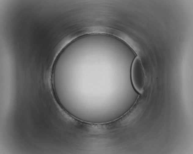 X0000111950901200908101220