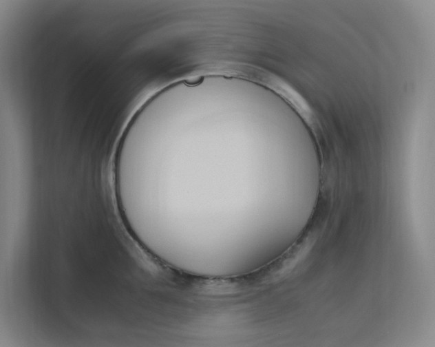 X0000111950907200908101220