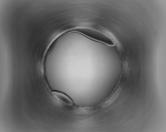 X0000111950908200908101220