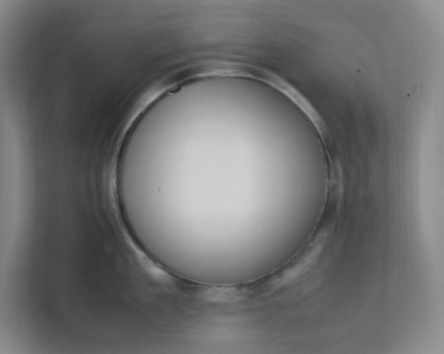 X0000111950909200908101220