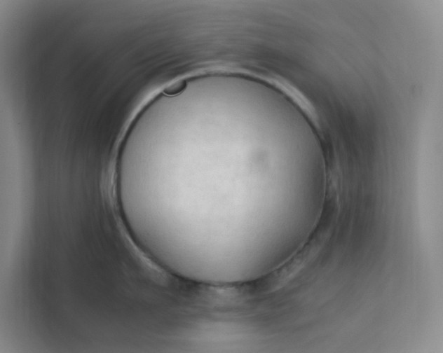 X0000111950911200908101220