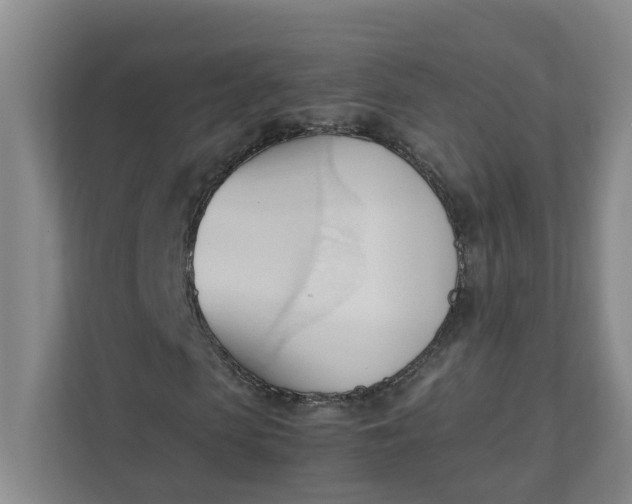 X0000111950913200908101219