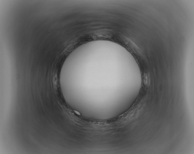 X0000111950915200908101219