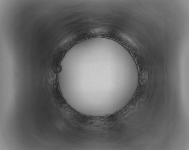 X0000111950917200908101219