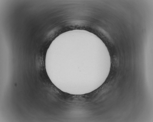 X0000111950918200908101219