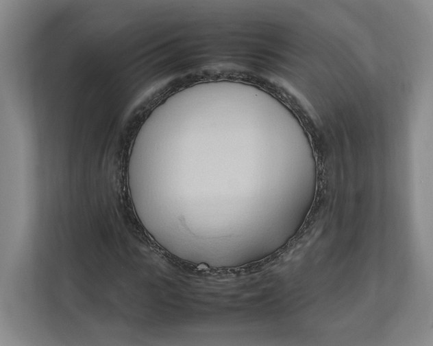 X0000111950919200908101219