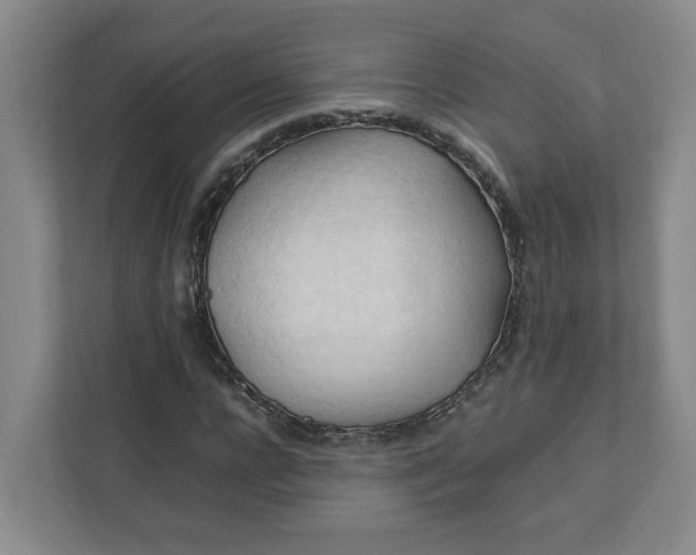 X0000111950920200908101219
