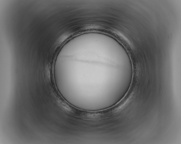 X0000111950921200908101219