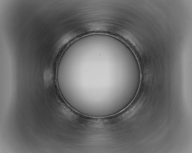 X0000111950922200908101219