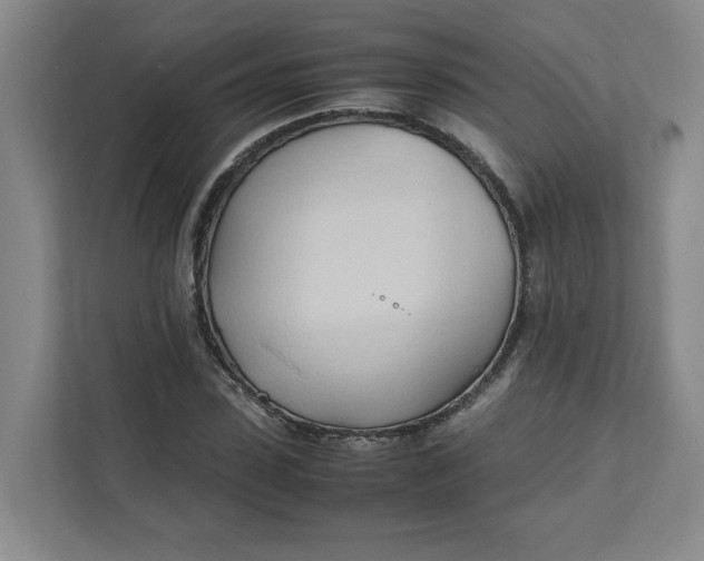 X0000111950923200908101219