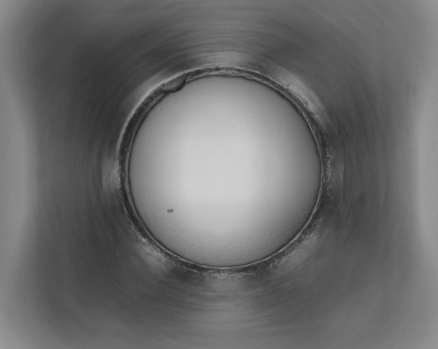 X0000111950924200908101219