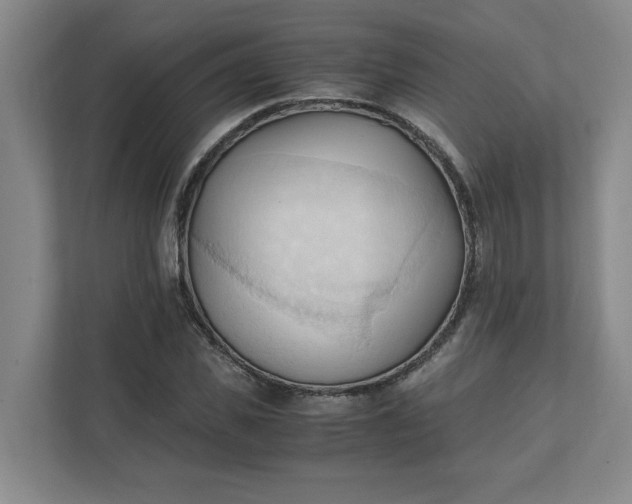 X0000111950925200908101219