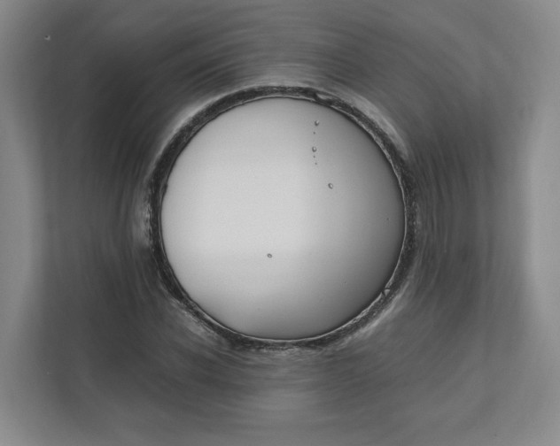 X0000111950926200908101219