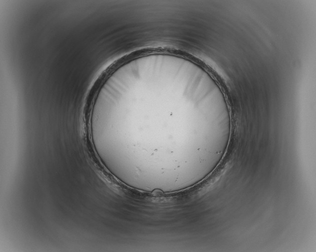 X0000111950927200908101219