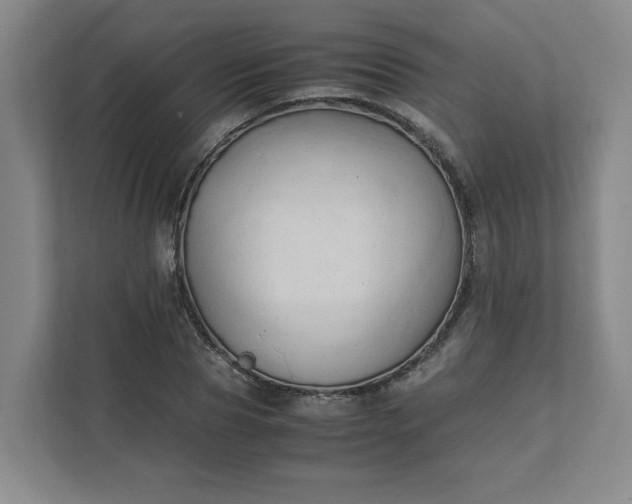 X0000111950929200908101219