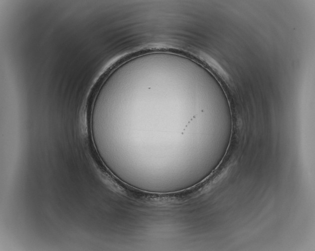 X0000111950934200908101219
