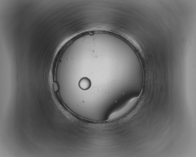 X0000111950936200908101219