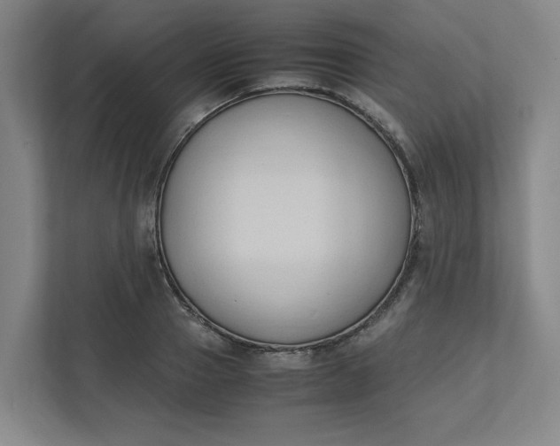 X0000111950937200908101219
