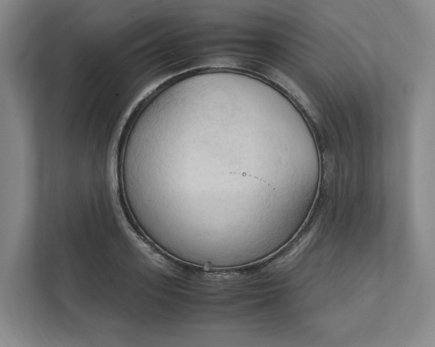 X0000111950939200908101219