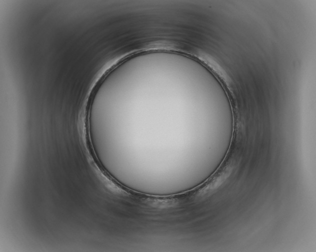 X0000111950941200908101219
