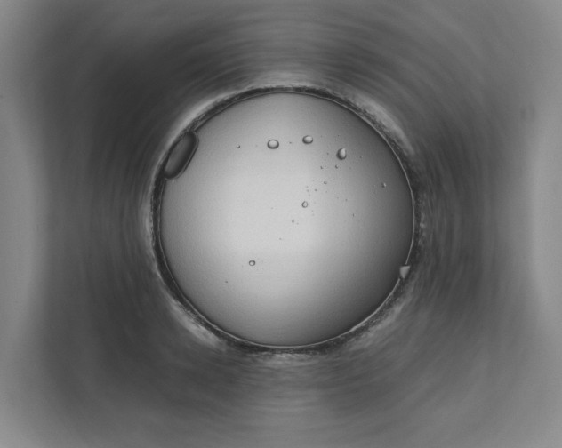 X0000111950942200908101219