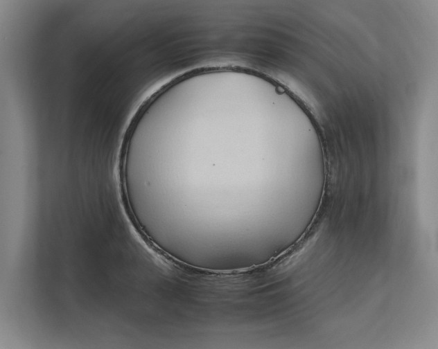 X0000111950943200908101219