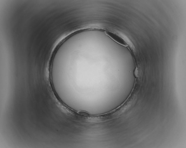 X0000111950944200908101219