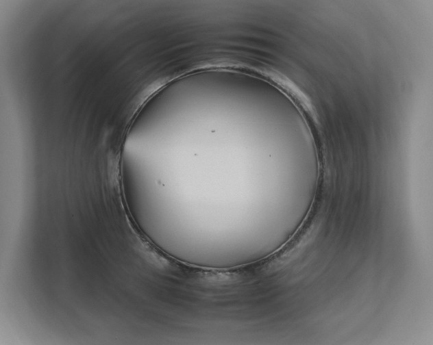 X0000111950945200908101219
