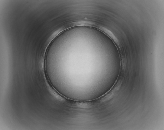 X0000111950946200908101219