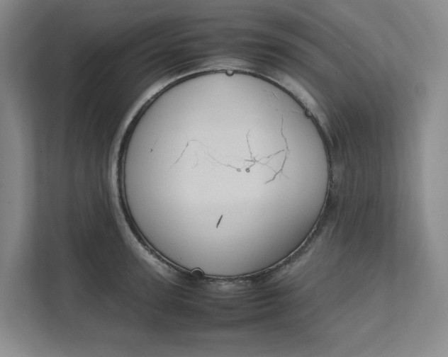 X0000111950947200908101219
