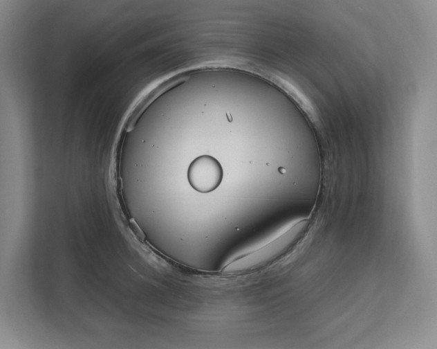 X0000111950948200908101219