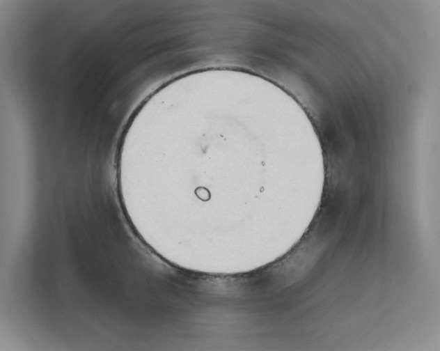 X0000111950950200908101219