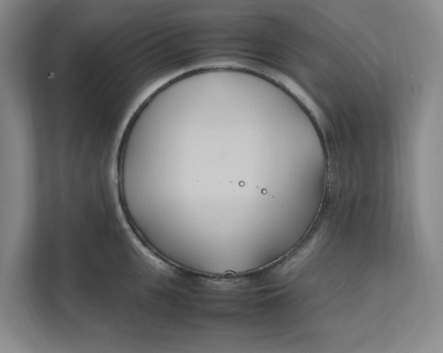 X0000111950951200908101219