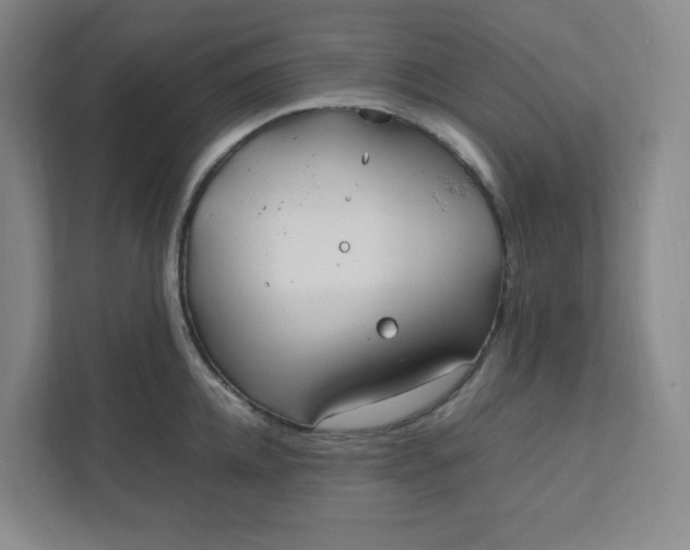 X0000111950952200908101220
