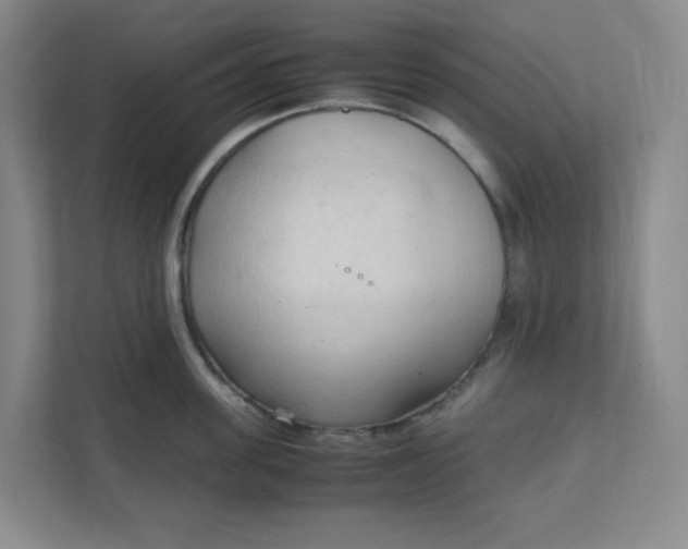 X0000111950955200908101220