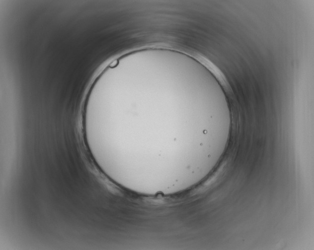 X0000111950956200908101220