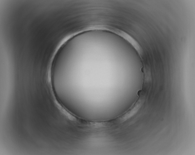 X0000111950958200908101220