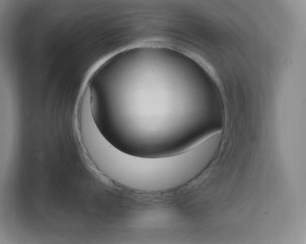 X0000111950960200908101220