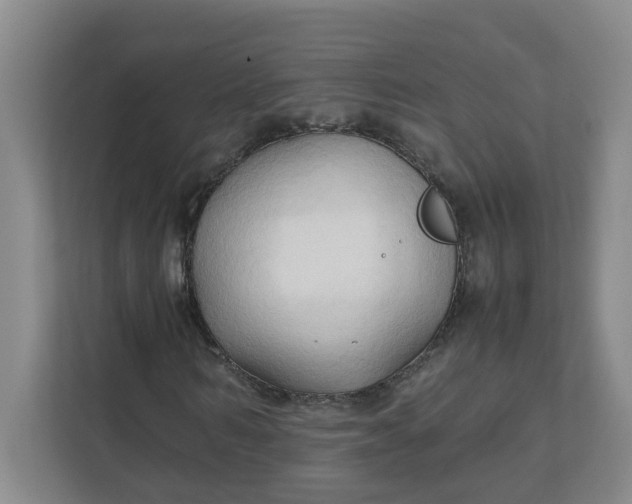 X0000111950962200908101219