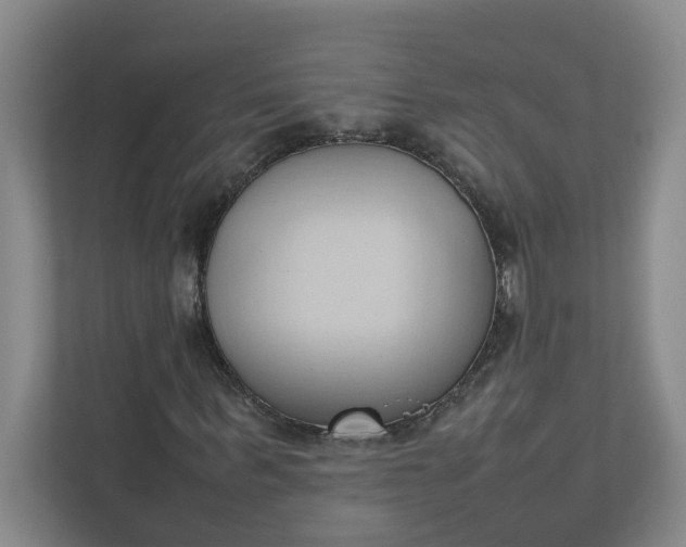 X0000111950963200908101219